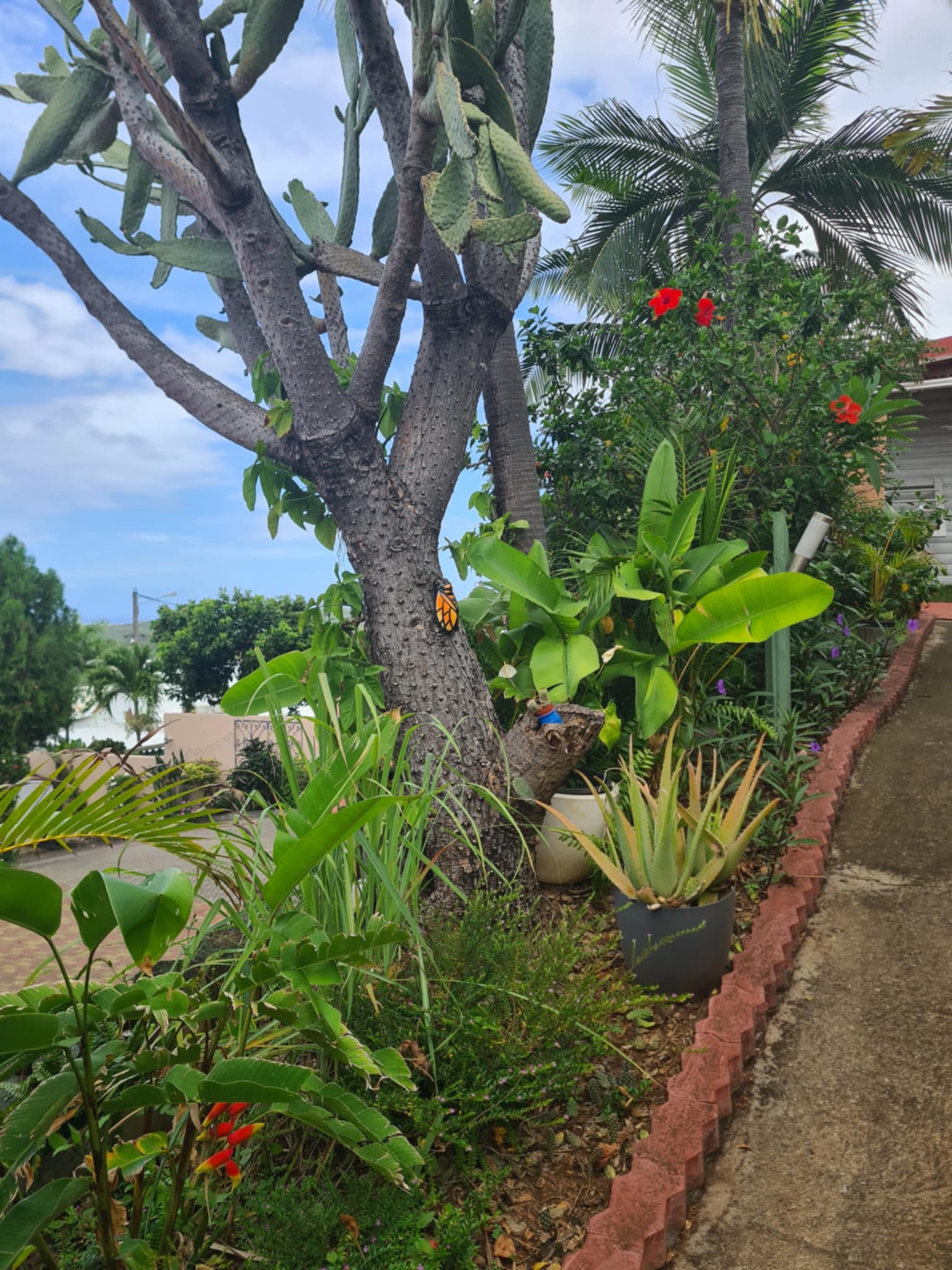Jardin tropical luxuriant du Vétibunga